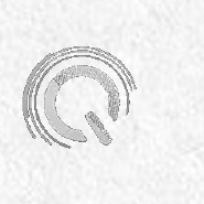 Q Partner